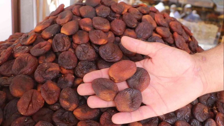 Kuru kayısıda tahmini rekolte 75 bin 776 ton