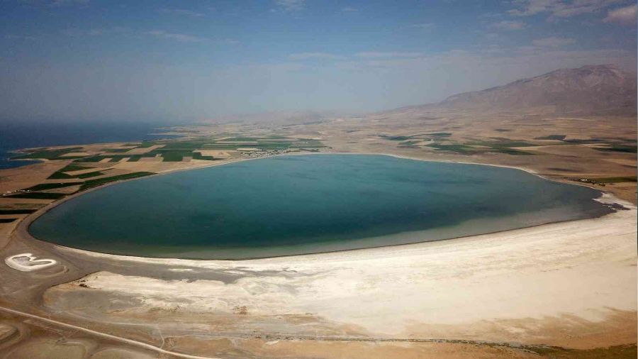 Ku� cenneti Arin G�l�'nde tehlike �anlar�