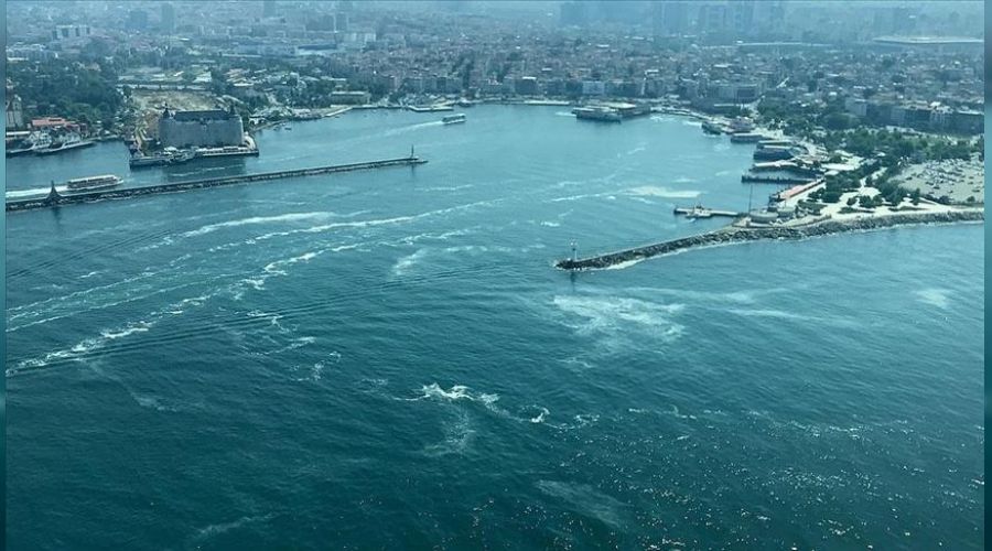 Musilaj yazl�k konutu vurdu