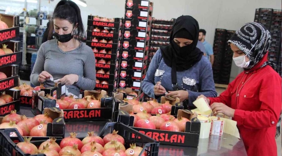 Nar ihracat�nda hedef bin 200 ton