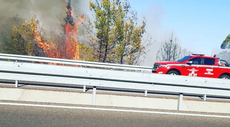 Ortaca'da ormanl�k alanda ��kan yang�n kontrol alt�na al�nd�