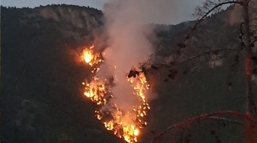 Saimbeyli'de düşen yıldırım 3 kişiyi yaralandı, ormanda yangın çıktı