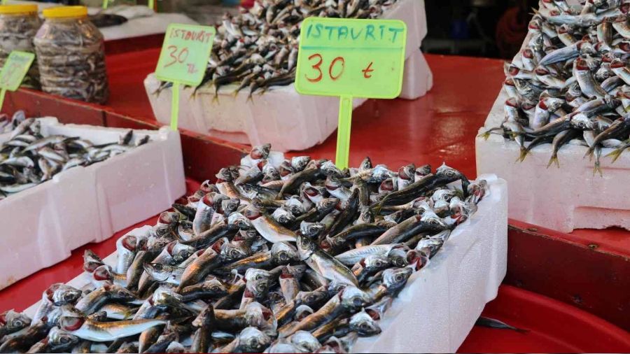Sezonun son balıkları tezgahlarda yerini aldı