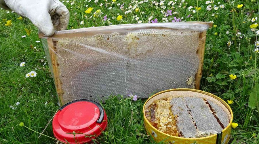 Uzman� uyard�: 'Piyasada hi� ar� g�rmeden �retilen sahte ballar var'