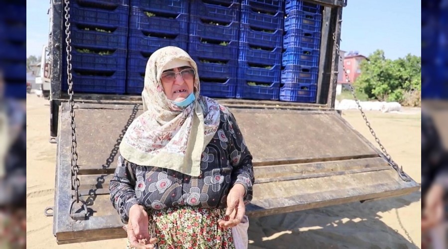 �z�m �reticisinin bir y�ll�k eme�i son anda kurtar�ld�