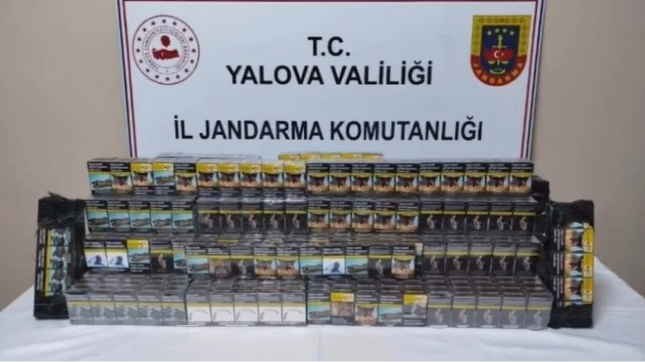 Yalova'da kaçak sigara operasyonu
