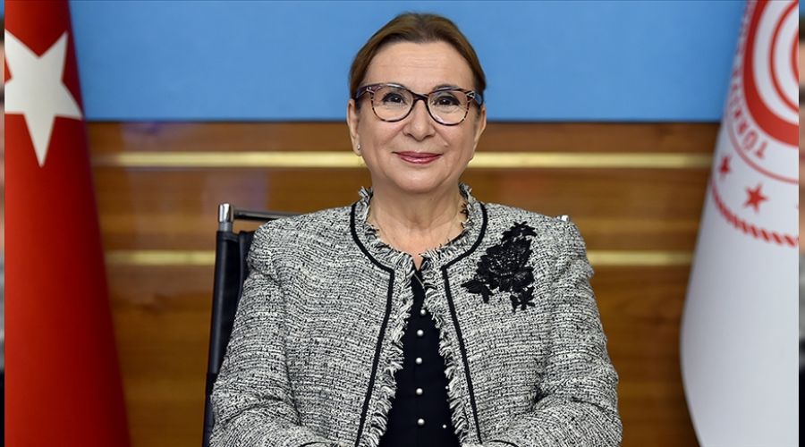 2020'de sınır kapılarından 3.4 milyon ticari araç geçiş yaptı