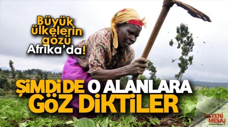 Afrika'nn tarm alanlarna gz diktiler