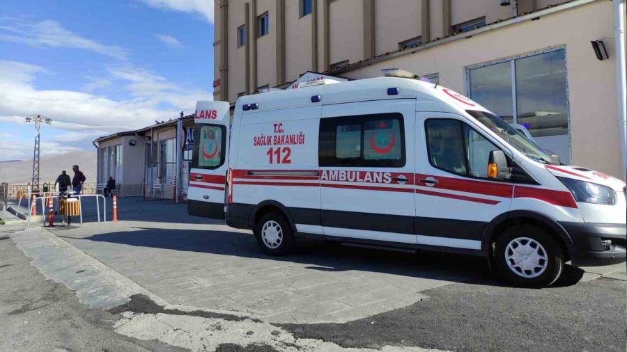 Ardahan'da 19 ya��ndaki gence y�ld�r�m isabet etti