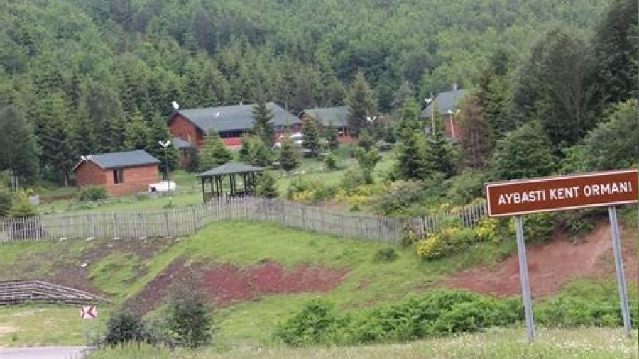 Aybastı Şehir Ormanı kiraya veriliyor