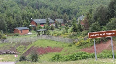 Aybastı Şehir Ormanı kiraya veriliyor