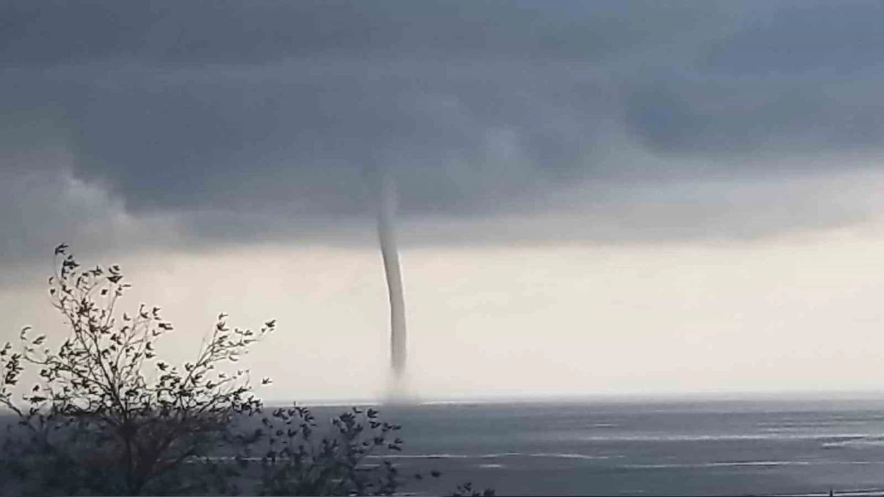 Ayn� anda 6 hortum olu�tu