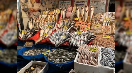 Balık çeşitliliği iklim kurbanı