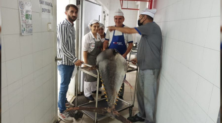Balık sezonu sıkı denetimle başladı