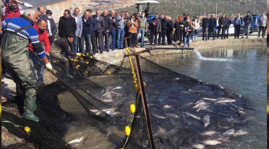 Balıkçılar ağı tarladan çekti