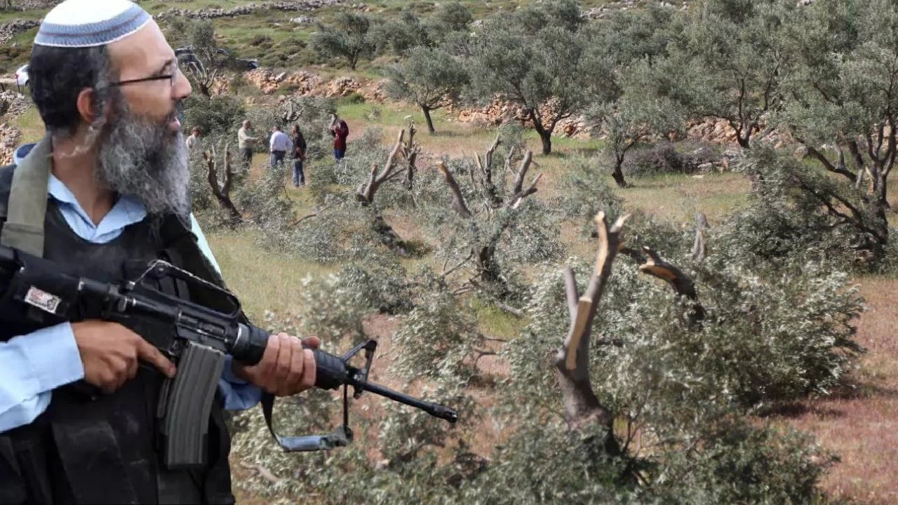 Batı Şeria'da silahlı Yahudi yerleşimciler Filistinli çiftçilere saldırdı