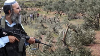 Batı Şeria'da silahlı Yahudi yerleşimciler Filistinli çiftçilere saldırdı