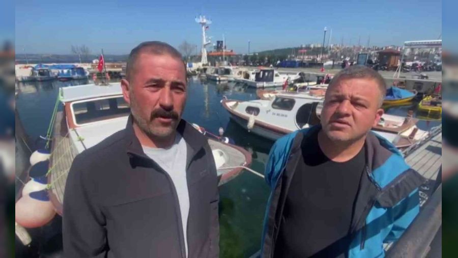 Boğaz'da 300 kilogram ağırlığında köpek balığı yakaladılar