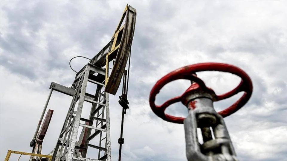 Brent petrol�n varili 110,20 dolar