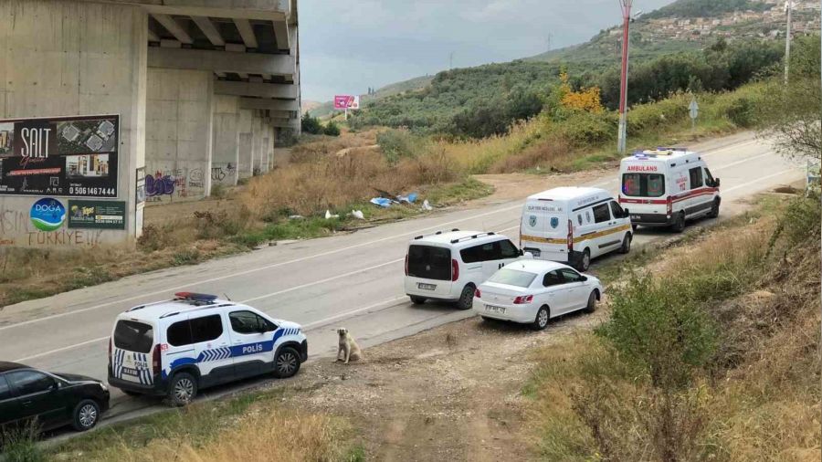 Bursa'da zeytinlikte kadın cesedi bulundu