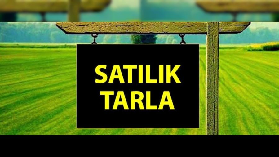 Çanakkale Ayvacık'ta icradan satılık tarla
