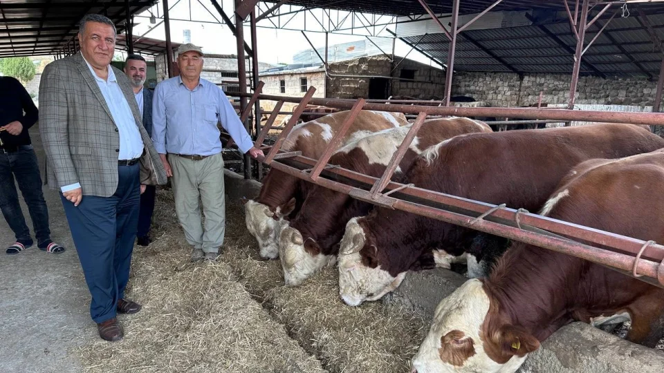 G�rer, hayvanc�l�k ve et ithalat�na ili�kin de�erlendirmelerde bulundu