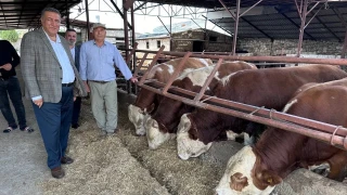 G�rer, hayvanc�l�k ve et ithalat�na ili�kin de�erlendirmelerde bulundu