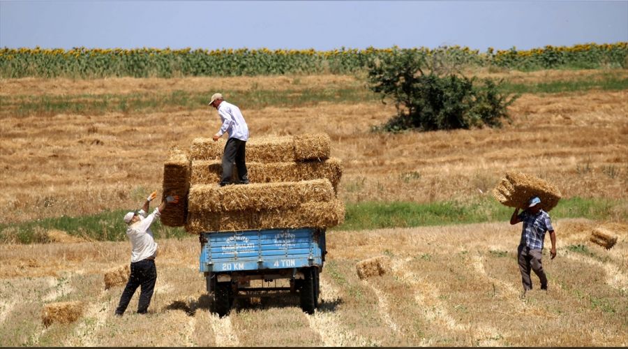 �ift�inin bayram� da, seyran� da tarla!