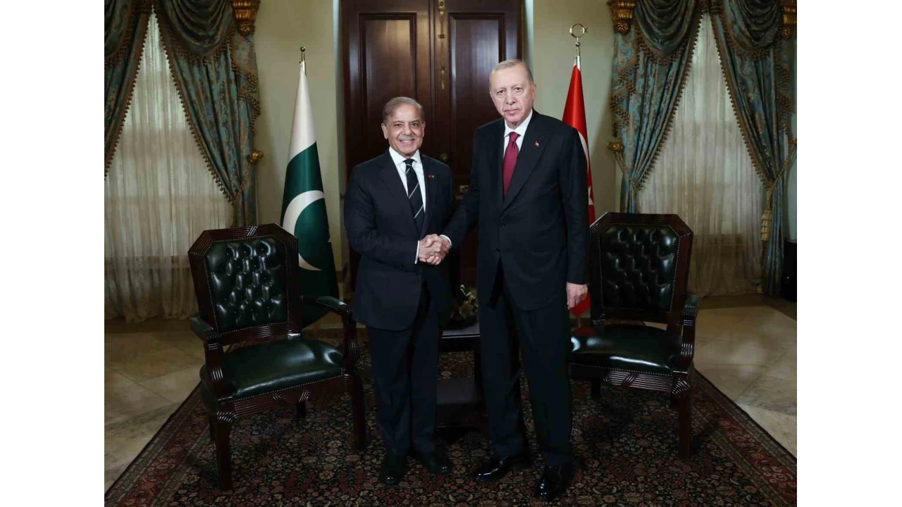 Cumhurbaşkanı Erdoğan, Pakistan Başbakanı Şerif'i kabul etti