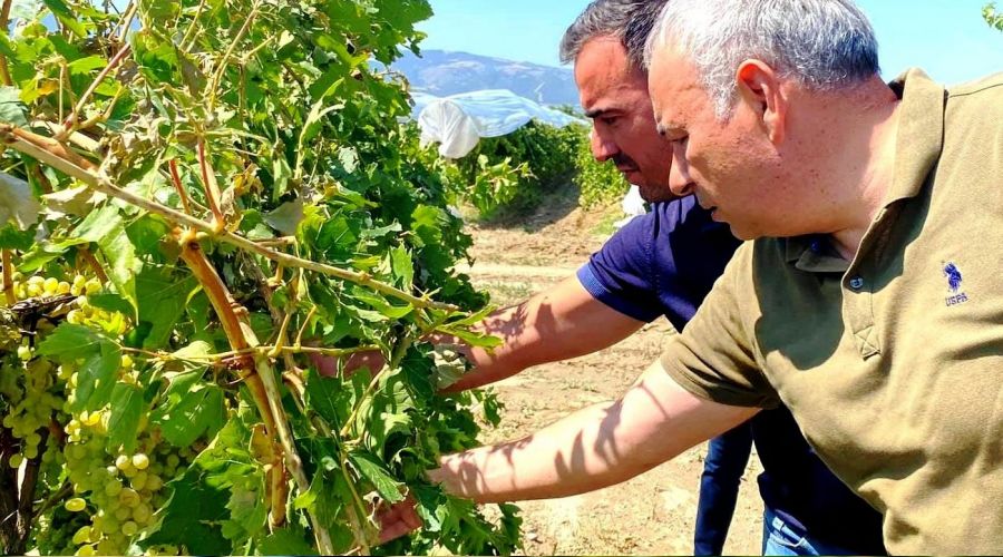 Dolu ve fırtına 11 bin dekarlık alana zarar verdi