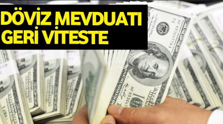 Döviz mevduatı geri viteste