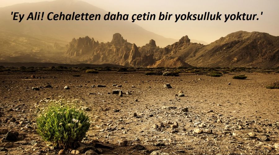 En çetin yoksulluk cehalettir