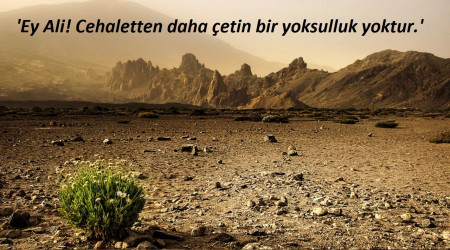 En çetin yoksulluk cehalettir