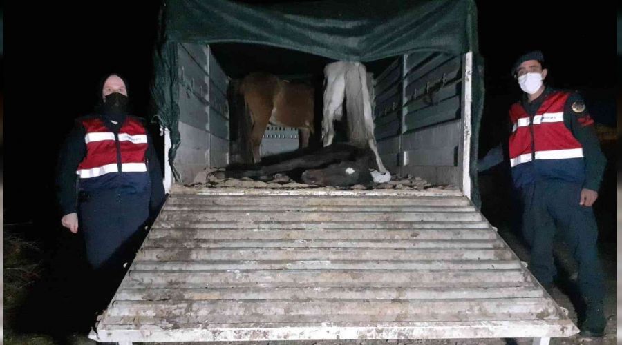 E�ek kesip piyasaya s�rmeye �al��anlara su��st�