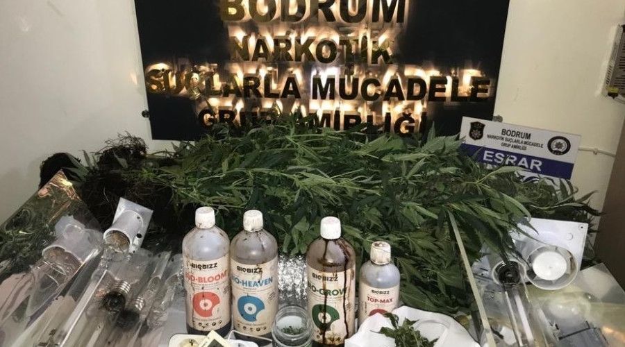 Ev uyu�turucu tarlas� ��kt�