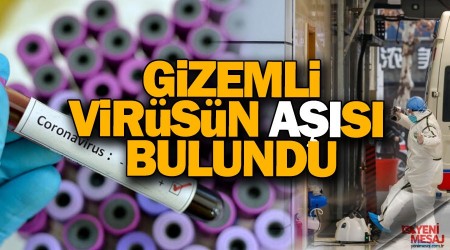 Gizemli virüsün aşısı bulundu