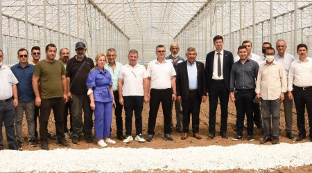 Gönen'de yetiştirilen muz dünyaya ihraç edilecek