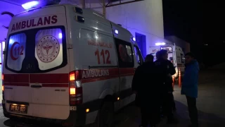 Hatay'da balon balığı yiyen 2'si çocuk 7 kişi zehirlendi
