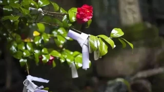 Hıdırellez nedir, ne zaman kutlanır?