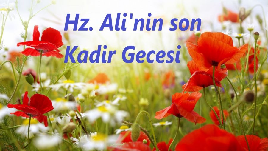 Hz. Ali�nin son Kadir Gecesi