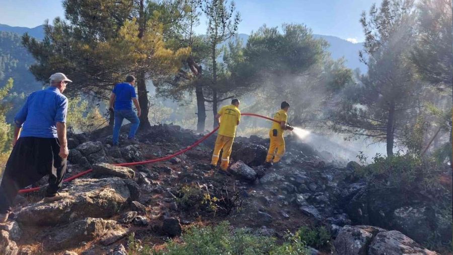 Kahramanmaraş'ta 6 noktada çıkan yangın söndürüldü