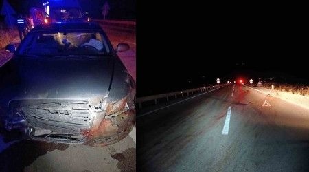 Karabük'te araçla domuz sürüsüne çarptılar: 3'ü çocuk 6 yaralı