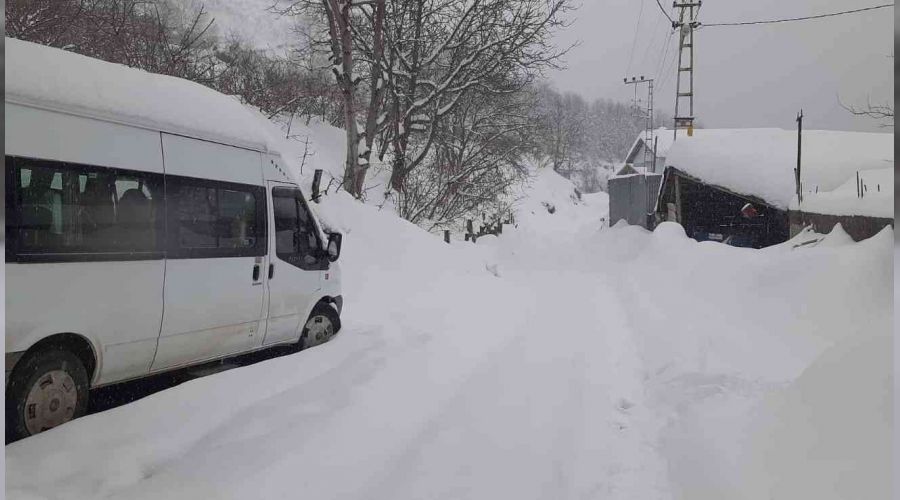 Kastamonu'da 459 kye ulam salanamyor