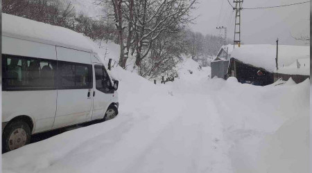 Kastamonu'da 459 kye ulam salanamyor