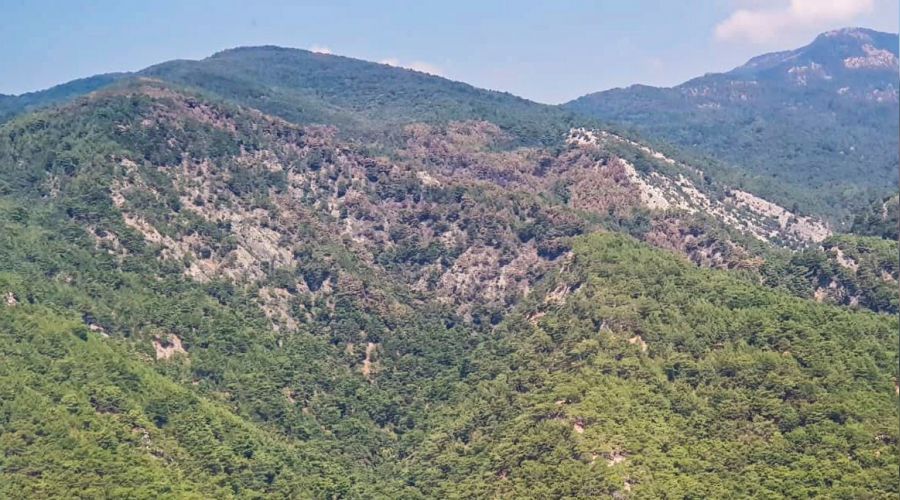 Kazdağları'nda soğutma çalışmaları devam ediyor