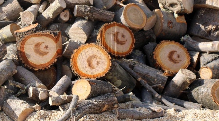 Kesilen ağacın gövdesinden 'ay yıldız' figürü çıktı