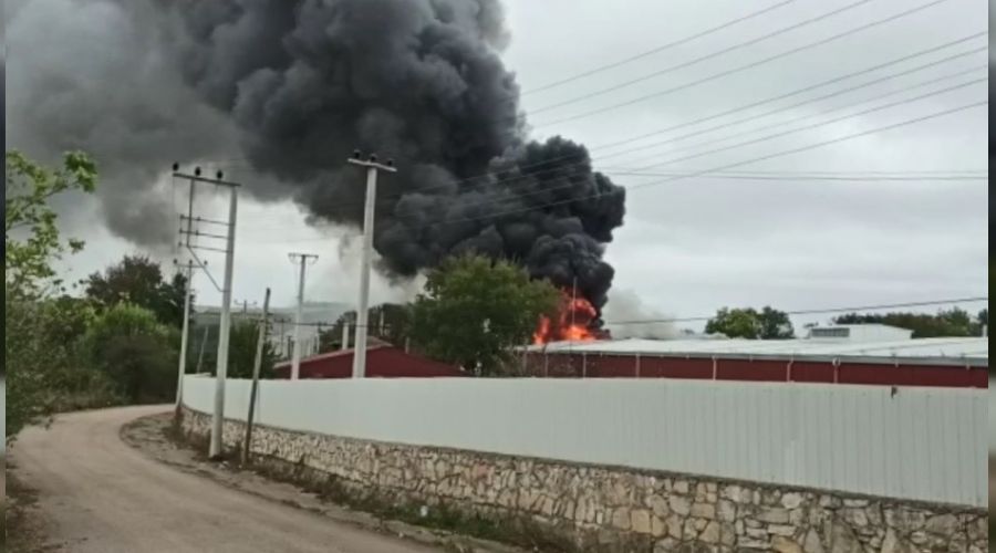 Kocaeli'de yağ fabrikasında yangın