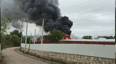 Kocaeli'de yağ fabrikasında yangın