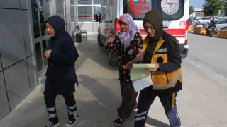 Konya'da köpeğin saldırdığı kadın yaralandı
