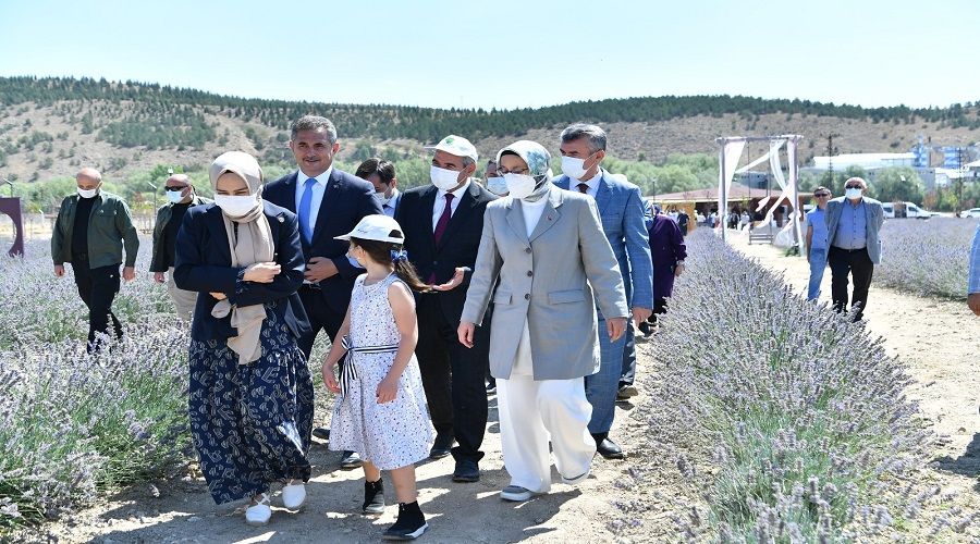 Mamak lavanta bahçeleriyle daha da güzel